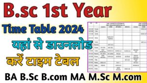 Bsc 1st Year Time Table 2024